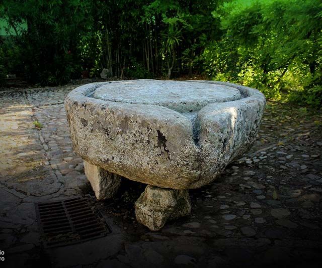 Complejo turístico Los Pinos casas y jardines 12